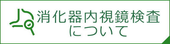 内視鏡検査